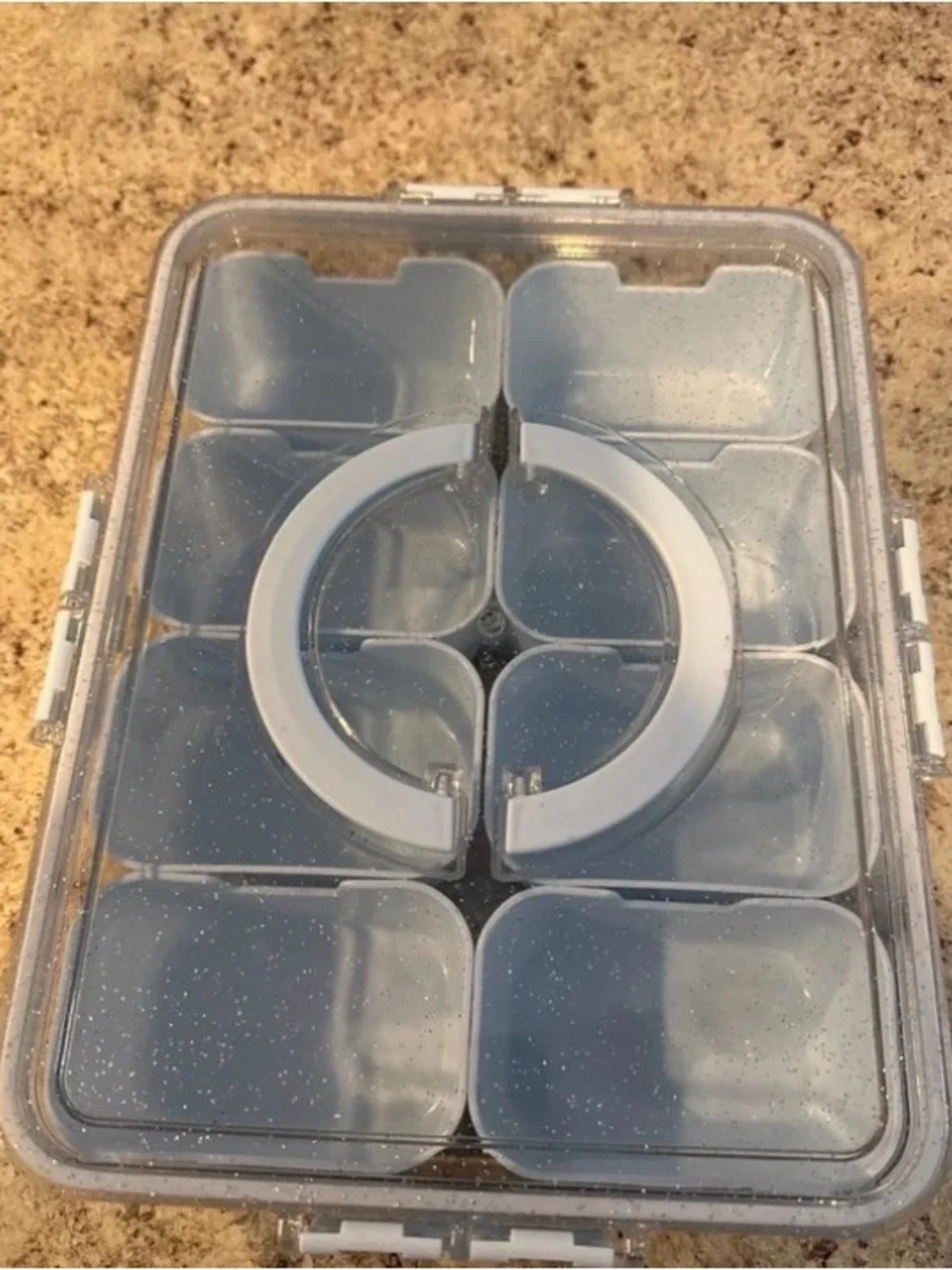 Target Clear Gray Multi-Section Storage Organizer with Removable Dividers